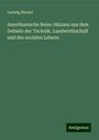 Ludwig Häcker: Amerikanische Reise-Skizzen aus dem Gebiete der Technik, Landwirthschaft und des socialen Lebens, Buch