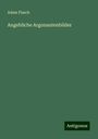 Adam Flasch: Angebliche Argonautenbilder, Buch