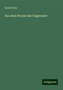 Ernst Fritze: Aus dem Strome der Gegenwart, Buch