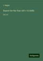 J. Beglar: Report for the Year 1871-72 Delhi, Buch