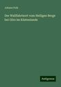 Johann Polk: Der Wallfahrtsort vom Heiligen Berge bei Görz im Küstenlande, Buch