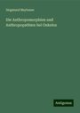 Siegmund Maybaum: Die Anthropomorphien und Anthropopathien bei Onkelos, Buch