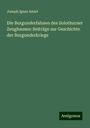 Joseph Ignaz Amiet: Die Burgunderfahnen des Solothurner Zeughauses: Beiträge zur Geschichte der Burgunderkriege, Buch