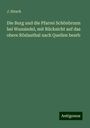 J. Hirsch: Die Burg und die Pfarrei Schönbrunn bei Wunsiedel, mit Rücksicht auf das obere Röslauthal nach Quellen bearb, Buch