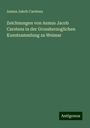 Asmus Jakob Carstens: Zeichnungen von Asmus Jacob Carstens in der Grossherzoglichen Kunstsammlung zu Weimar, Buch