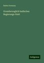 Baden Germany: Grossherzoglich badisches Regierungs-blatt, Buch