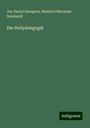 Jan Daniel Georgens: Die Heilpädagogik, Buch