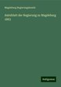 Magdeburg Regierungsbezirk: Amtsblatt der Regierung zu Magdeburg 1863, Buch