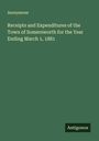 Anonymous: Receipts and Expenditures of the Town of Somersworth for the Year Ending March 1, 1881, Buch