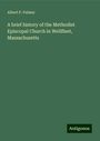 Albert P. Palmer: A brief history of the Methodist Episcopal Church in Wellfleet, Massachusetts, Buch