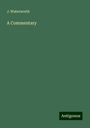 J. Waterworth: A Commentary, Buch