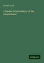 David B. Scott: A Smaller School History of the United States, Buch