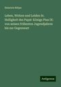 Heinrich Rütjes: Leben, Wirken und Leiden Sr. Heiligkeit des Papst-Königs Pius IX: von seinen frühesten Jugendjahren bis zur Gegenwart, Buch