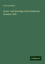 Carl Von Binzer: Kreuz- und Querzüge durch Italien im Sommer 1876, Buch