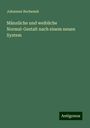 Johannes Bochenek: Männliche und weibliche Normal-Gestalt nach einem neuen System, Buch