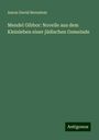 Aaron David Bernstein: Mendel Gibbor: Novelle aus dem Kleinleben einer jüdischen Gemeinde, Buch