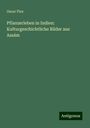 Oscar Flex: Pflanzerleben in Indien: Kulturgeschichtliche Bilder aus Assám, Buch