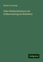 Walther Flemming: Ueber Bindesubstanzen und Gefässwandung bei Mollusken, Buch