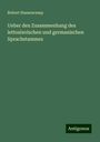 Robert Hassencamp: Ueber den Zusammenhang des lettoslavischen und germanischen Sprachstammes, Buch