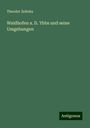 Theodor Zelinka: Waidhofen a. D. Ybbs und seine Umgebungen, Buch