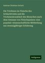 Andreas Christian Gerlach: Die Trichinen im Fleische des Schlachtviehs und die Trichinenkrankheit des Menschen nach dem Gennsse von Fleischspeisen: eine populair-wissenschaftliche Mittheilung aus zwanzigjähriger Erfahrung, Buch