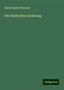 Marie Sophie Schwartz: Die Stieftochter Erzählung, Buch