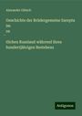 Alexander Glitsch: Geschichte der Brüdergemeine Sarepta im os¿tlichen Russland während ihres hundertjährigen Bestehens, Buch