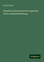 Eduard Meyer: Hepatitis Suppurativa hervorgerufen durch Gallensteinbildung, Buch