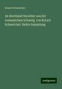 Robert Schweichel: Im Hochland Novellen aus der romanischen Schweig von Robert Schweichel. Dritte Sammlung, Buch