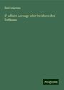 Emil Gaboriau: L' Affaire Lerouge oder Gefahren des Irrthums, Buch