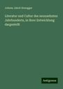 Johann Jakob Honegger: Literatur und Cultur des neunzehnten Jahrhunderts, in ihrer Entwicklung dargestellt, Buch