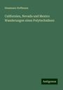 Hemmann Hoffmann: Californien, Nevada und Mexico Wanderungen eines Polytechnikers, Buch