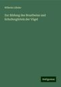 Wilhelm Lühder: Zur Bildung des Brustbeins und Schultergürtels der Vögel, Buch