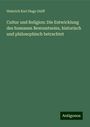 Heinrich Karl Hugo Delff: Cultur und Religion: Die Entwicklung des humanen Bewusstseins, historisch und philosophisch betrachtet, Buch