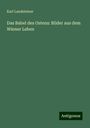 Karl Landsteiner: Das Babel des Ostens: Bilder aus dem Wiener Leben, Buch