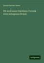 Harriet Beecher Stowe: Wir und unsere Nachbarn: Chronik einer entsegenen Strasse, Buch