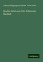 Johann Wolfgang von Goethe: Goethe-Briefe aus Fritz Schlossers Nachlaß, Buch