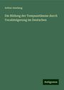 Arthur Amelung: Die Bildung der Tempusstämme durch Vocalsteigerung im Deutschen, Buch