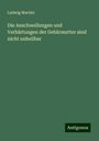 Ludwig Martini: Die Anschwellungen und Verhärtungen der Gebärmutter sind nicht unheilbar, Buch