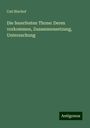 Carl Bischof: Die feuerfesten Thone: Deren vorkommen, Zusammensetzung, Untersuchung, Buch