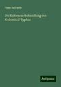 Franz Hellraeth: Die Kaltwasserbehandlung des Abdominal-Typhus, Buch