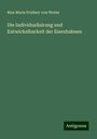 Max Maria Freiherr Von Weber: Die Individualisirung und Entwickelbarkeit der Eisenbahnen, Buch