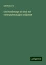 Adolf Zinzow: Die Hamletsage an und mit verwandten Sagen erläutert, Buch