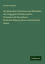 Rudolf Lehmann: Die lebenden Schnecken und Muscheln der Umgegend Stettins und in Pommern mit besonderer Berücksichtigung ihres anatomischen Baues, Buch