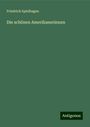 Friedrich Spielhagen: Die schönen Amerikanerinnen, Buch