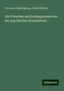 Hermann Emminghaus: Die Ursachen und Anfangssymptome der psychischen Krankheiten, Buch