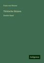 Franz Von Werner: Türkische Skizzen, Buch