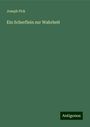 Joseph Fick: Ein Scherflein zur Wahrheit, Buch