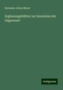 Hermann Julius Meyer: Ergänzungsblätter zur Kenntniss der Gegenwart, Buch