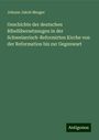 Johann Jakob Mezger: Geschichte der deutschen Bibelübersetzungen in der Schweizerisch-Reformirten Kirche von der Reformation bis zur Gegenwart, Buch